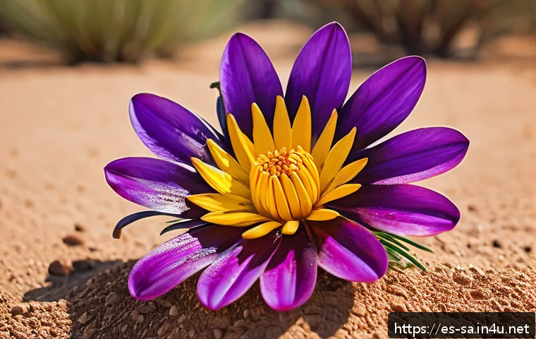 남아프리카 공화국 국화 프로테아 - A vibrant, detailed close-up of the South African national flower with robust, scaly petals and a pr...